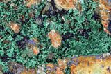 Large Malachite with Azurite Specimen - Morocco #104067-2